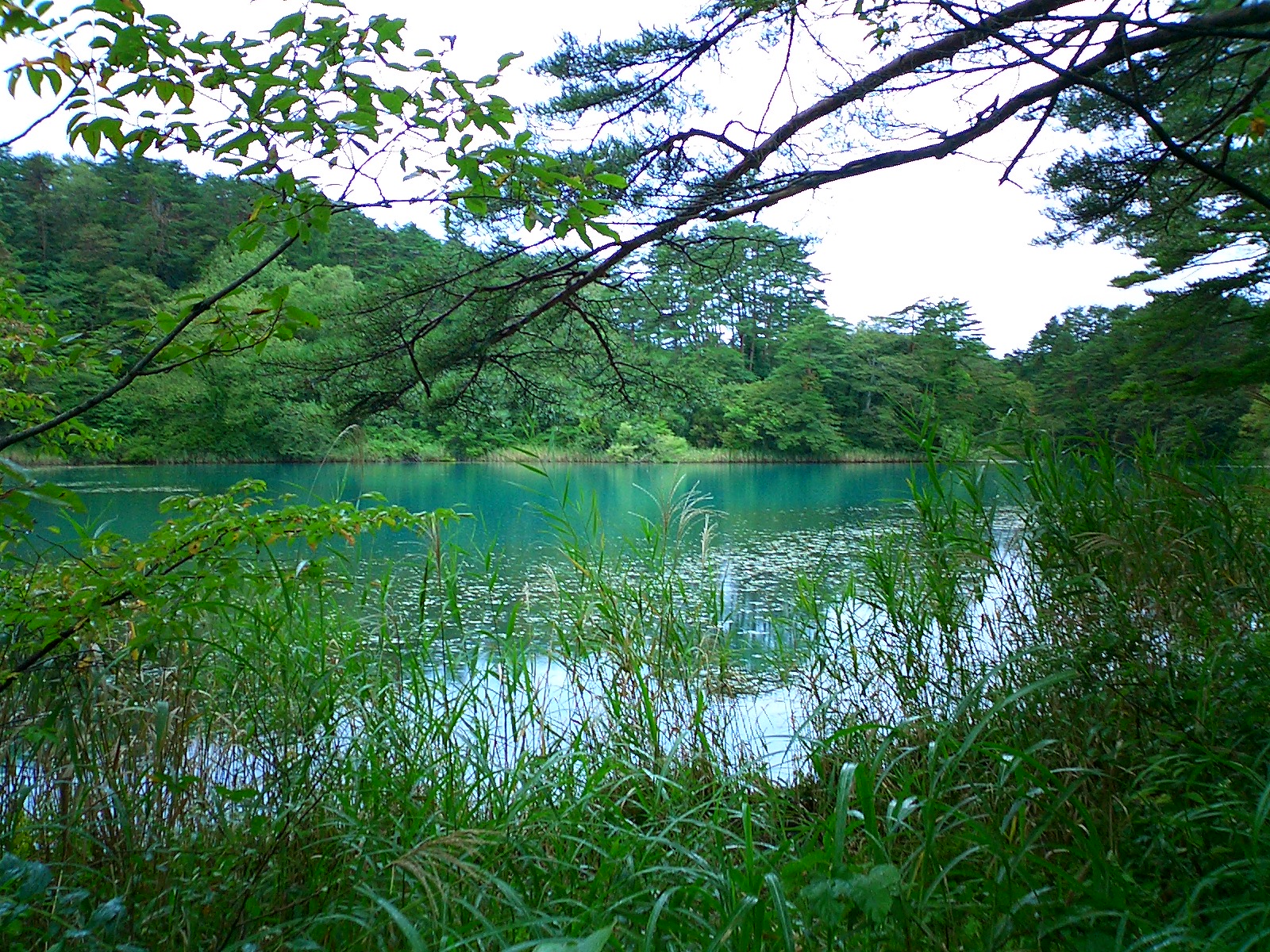 Fukushima